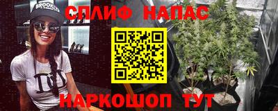 молекула духа Ярославль